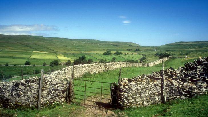 The path to Buckden Pike. Photo: Alamy 