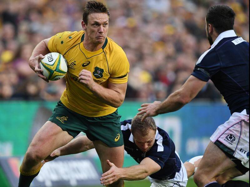 Wallaby Dane Haylett-Petty says the Melbourne Rebels can improve despite an opening Super Rugby win.