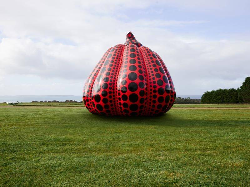 Kusama's Red and Black Pumpkin is three metres wide. (HANDOUT/CHRIS MCCONVILLE)