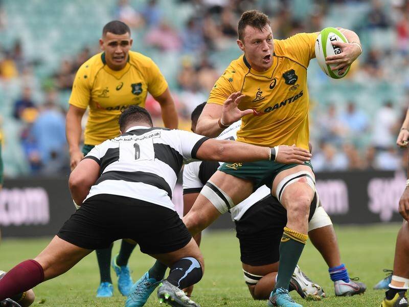 Wallabies flanker Jack Dempsey was crocked playing against the Barbarians in October.
