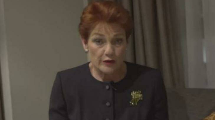 Pauline Hanson speaks about her meeting with Malcolm Turnbull in a video she posted on social media.