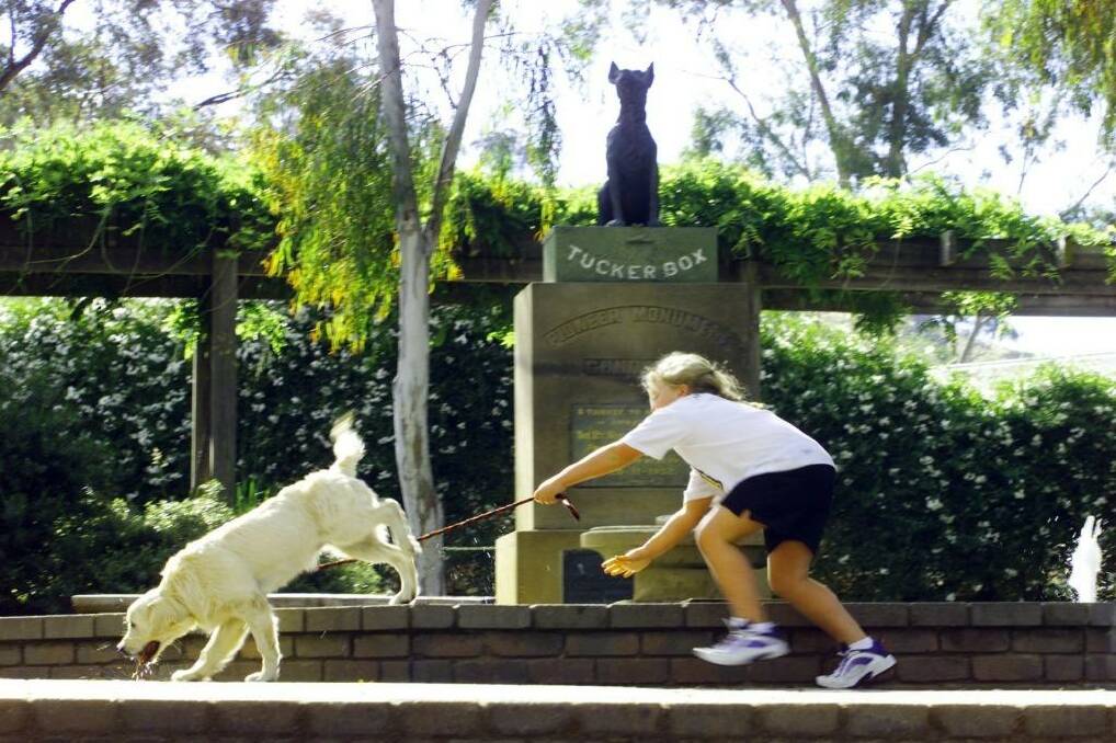 Pit stop: A stopover with the family dog at the Dog on the Tuckerbox.
 Photo: Kylie Pickett