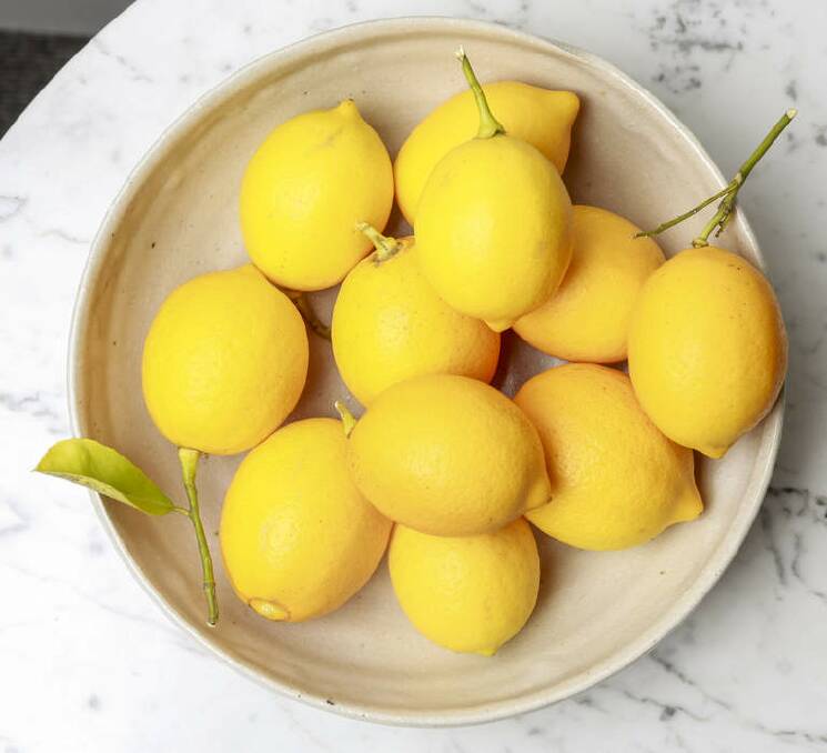 Lemons are a staple in his household. Photo: EDDIE JIM