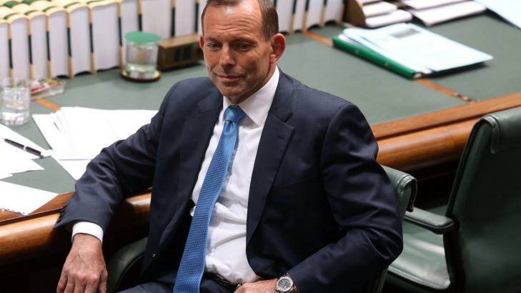 Man of mystery: Australia is waiting for the real Tony Abbott to stand up. Photo: Andrew Meares