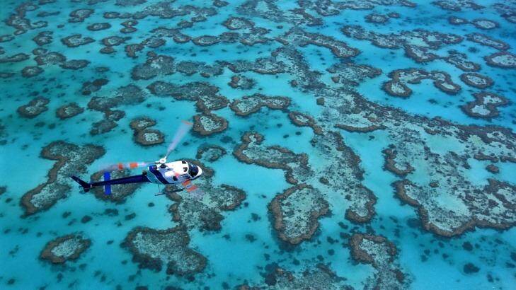 UNESCO has declared the Great Barrier Reef should not be deemed "in danger". Photo: PHOTOLIBRARY