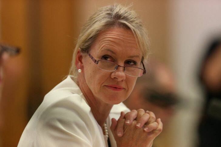 Senator Fiona Nash Assistant Health minister appeared before a Senate Estimates hearing at Parliament House in Canberra on Wednesday 26 February 2014. Photo: Andrew Meares