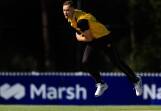 Speedster Jason Behrendorff has been omitted from WA's contracted players list. (Mark Evans/AAP PHOTOS)