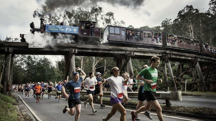 Runners are seen racing against the iconic Puffing Billy steam train in the 35th Great Train Race. Photo: Paul Jeffers