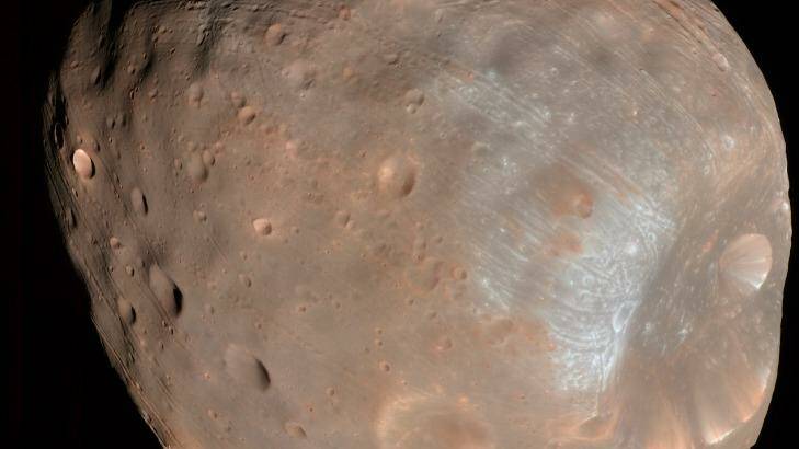Phobos, the larger of Mars' moons, imaged from a distance of 6800 kilometers. The Stickney impact crater dominates one hemisphere of the moon.  Photo: NASA/JPL/University of Arizona