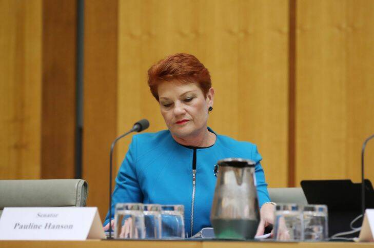 Senator Pauline Hanson during Budget Estimates at Parliament House in Canberra on Tuesday 30 May 2017. Photo: Andrew Meares 