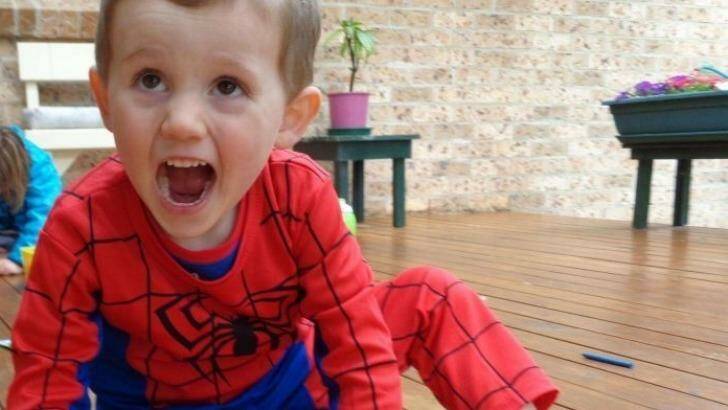 William Tyrrell was 3 years old when he vanished while playing at his grandmother's house on the NSW mid north coast in 2014. Photo: Supplied
