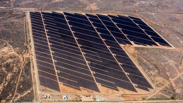 The Broken Hill solar plant built by AGL Energy and First Solar. Photo: Supplied