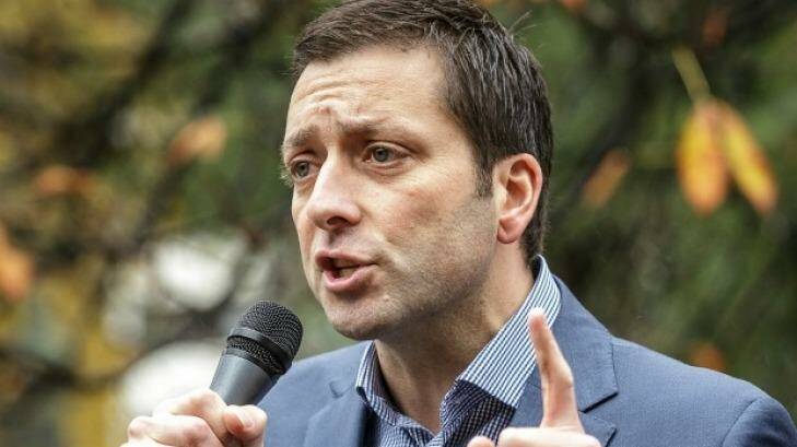 Victorian opposition leader Matthew Guy said he disagreed with Ms Ross. Photo: Daniel Pockett