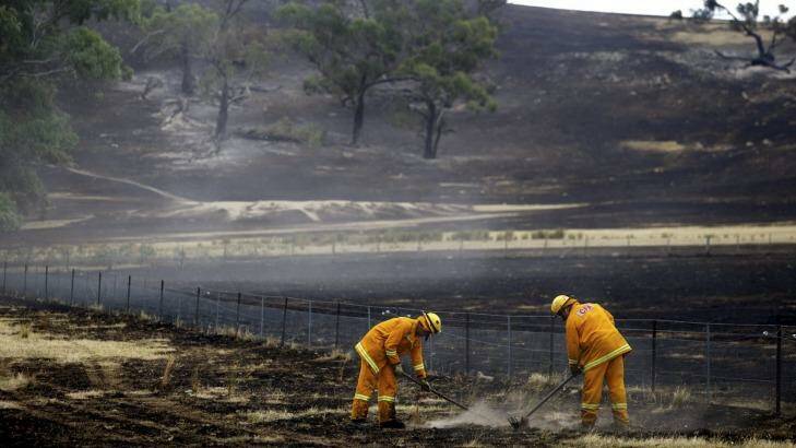 CFA work at blacking out farm area in Creightons Creek. Photo: Jason South