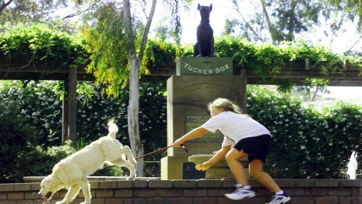 Pit stop: A stopover with the family dog at the Dog on the Tuckerbox.
 Photo: Kylie Pickett