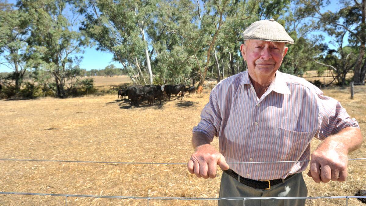 Doug Somerville on the last 50 acres of his family's land at Strathfieldsaye. Pictures: JODIE DONNELLAN