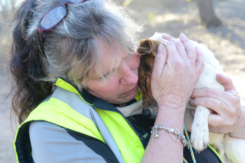 Jo Lyall from WRES with Sparrow the dog moments after he was rescued by WRES after a 7 day long ordeal trapped in a mineshaft.
 
Picture: Jim Aldersey
250613