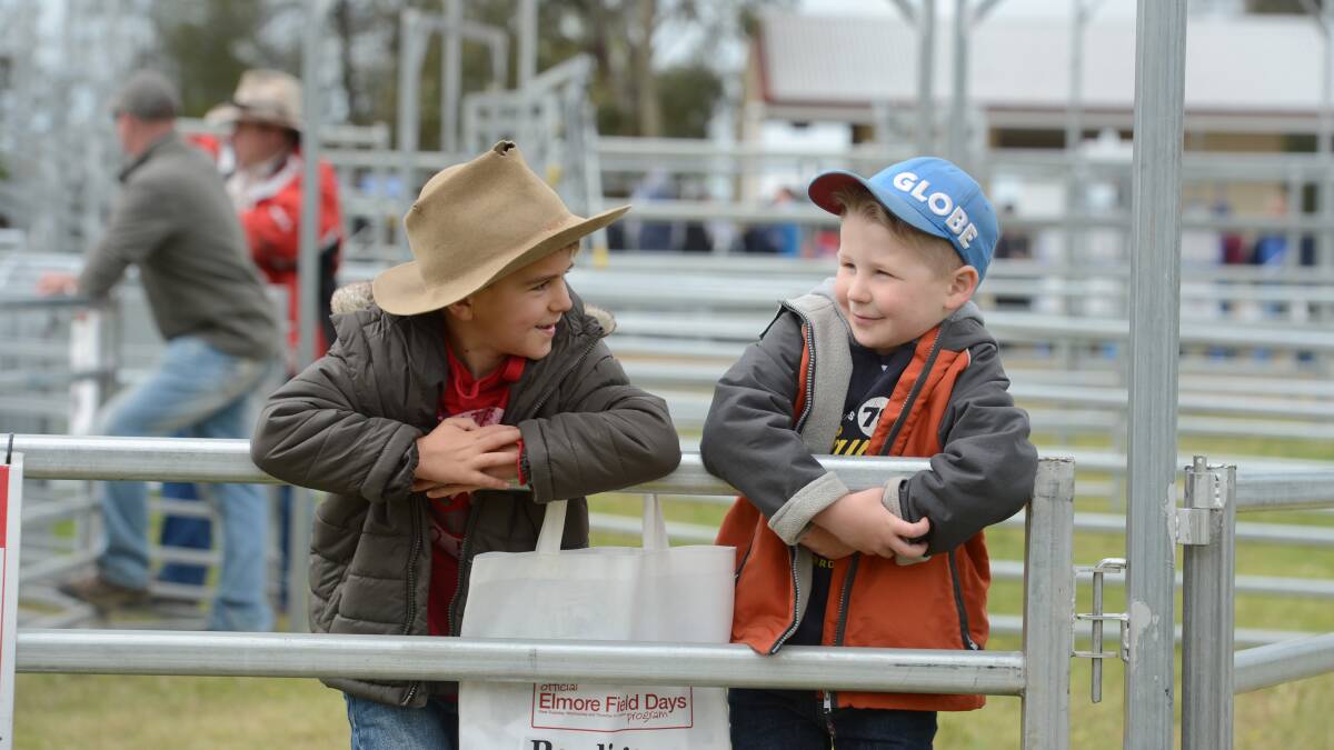 Oscar Mathews 7 and James Mathews 4 at day two of the Elmore Field Days.

Picture: JIM ALDERSEY
021013