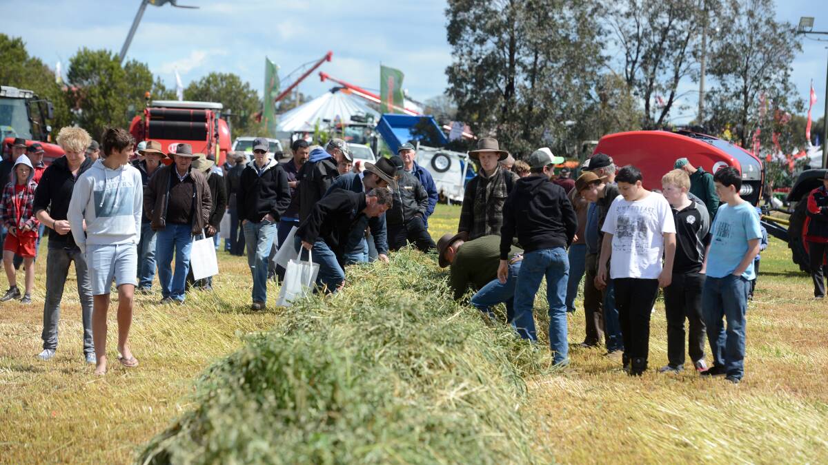 Farmers check out the quality in paddock demonstrations at day 1 of the Elmore Field Days.

Picture: JIM ALDERSEY