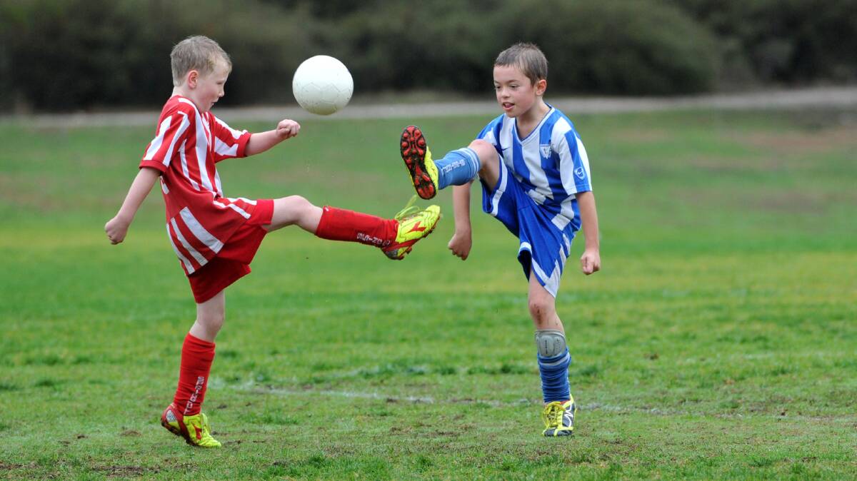 Junior soccer at Beischer Park, Strathdale
Spring Gully Redbacks V Strathdale U8's
Picture: Julie Hough
01.06.13