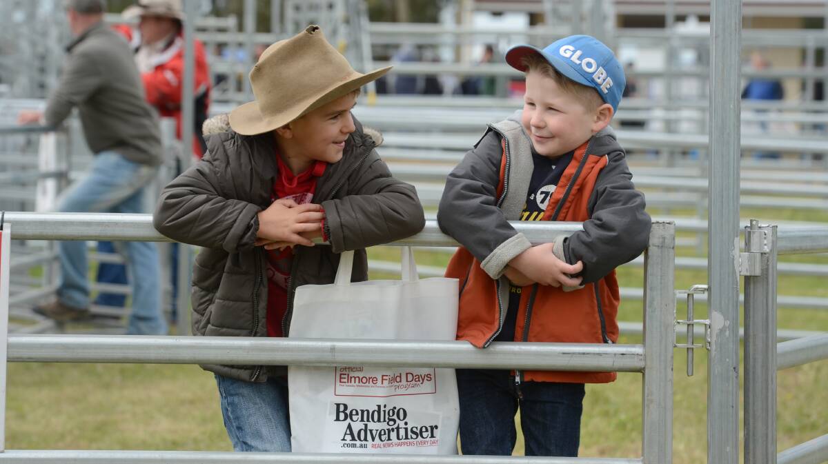Oscar Mathews 7 and James Mathews 4 at day two of the Elmore Field Days.

Picture: JIM ALDERSEY
