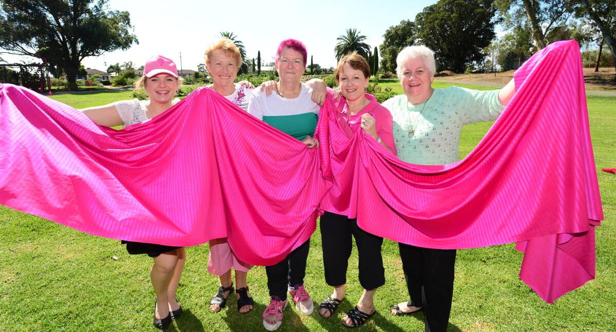 SUPPORT: Brooke West, Eileen Hardingham, Karen Colliver, Maree West and Margaret Smith at the Breast Cancer Fundraiser Family Fun Day in the Park. Picture: JIM ALDERSEY