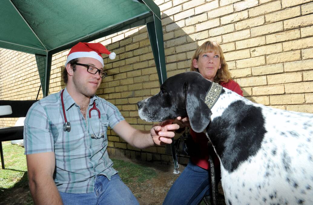 The Santa Day at the Kangaroo Flat Veterinary Clinic. Picture: JODIE DONNELLAN