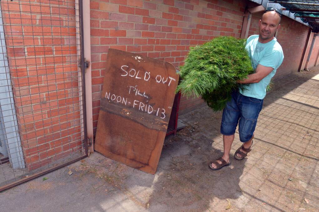 LUCKY: Mark Nascimento scored the last Christmas tree at last weekend's sale. There will be more available this weekend. Picture: BRENDAN McCARTHY
081213