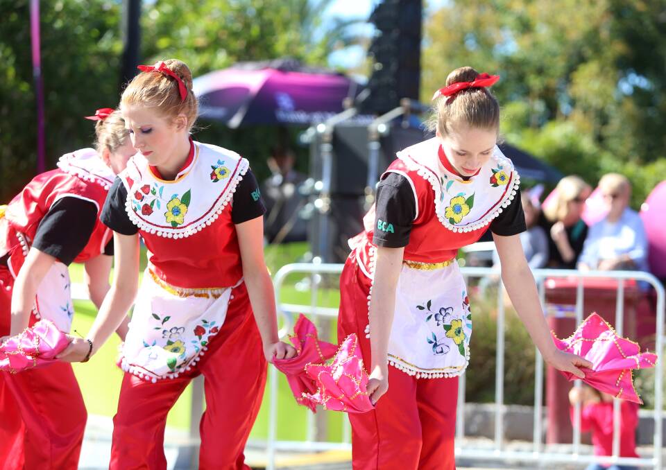 FESTIVAL:  Performers put on array of dancing, martial arts and lion dancing. Picture: GLENN DANIELS
