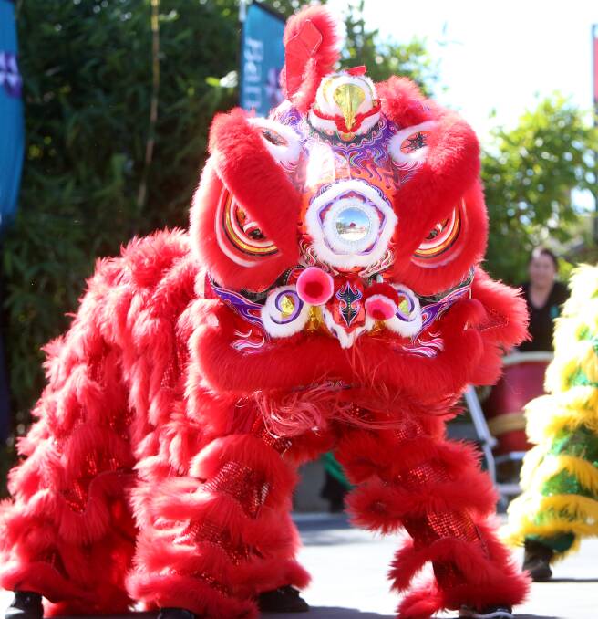 FESTIVAL:  Performers put on array of dancing, martial arts and lion dancing. Picture: GLENN DANIELS