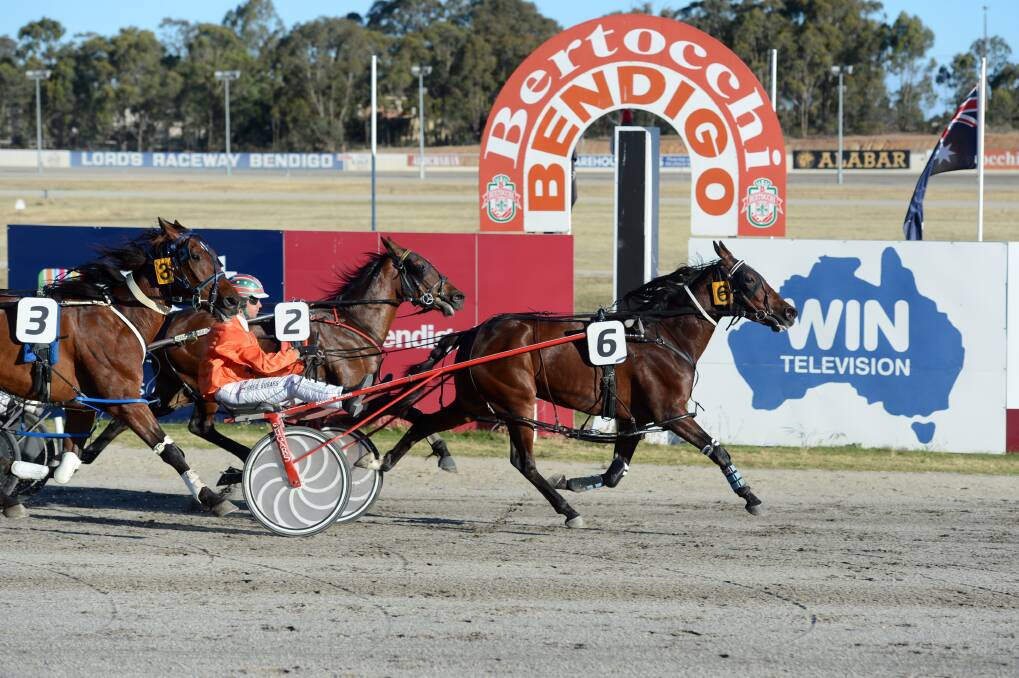 Race 2 finish at Lord's Raceway for Bendigo Harness Racing Club Christmas meeting. Picture: JIM ALDERSEY