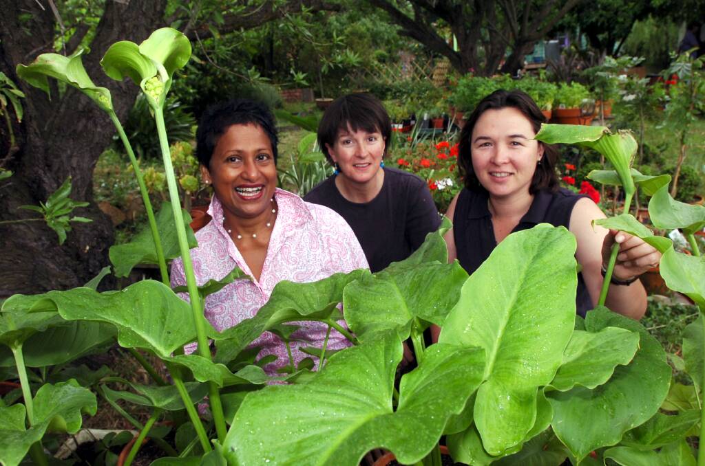 Jasmine Vendargon, Cate Commadeur and Carol Cope prepare plants for the Red Geranium group. Picture ; PETER HYETT.