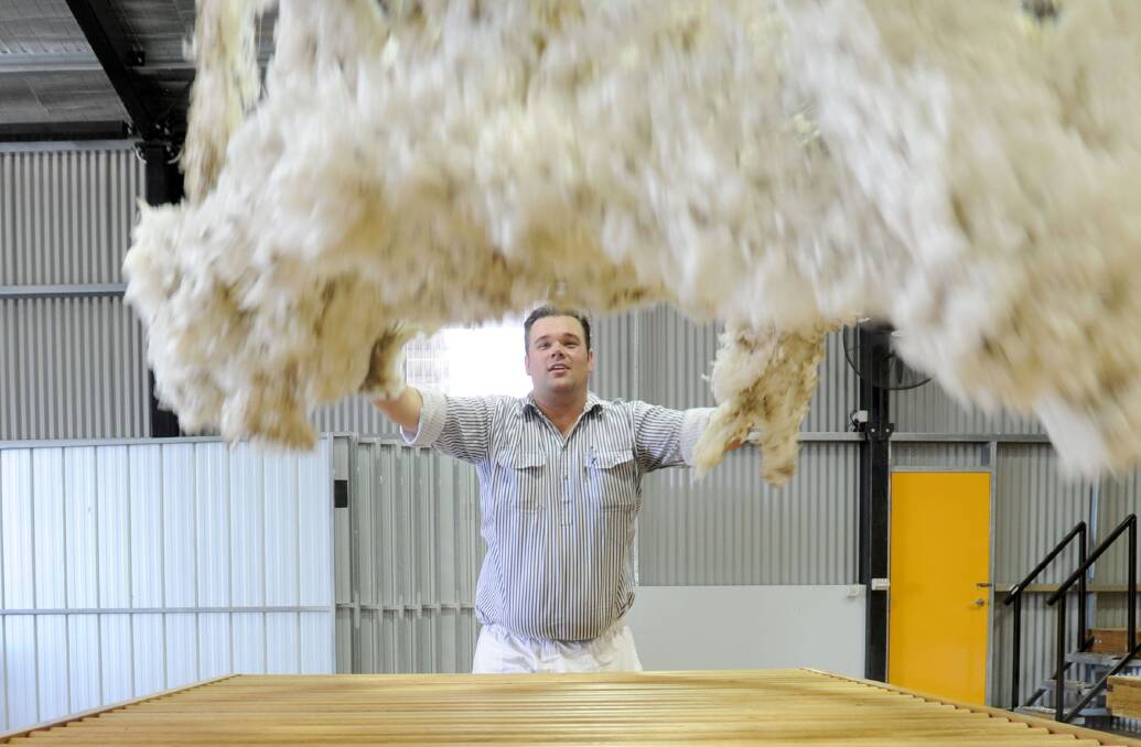 Manager of Avington Farm (Merino Stud farm) Dan Korff throwing fleece in the shearing shed. Picture: JODIE DONNELLAN 