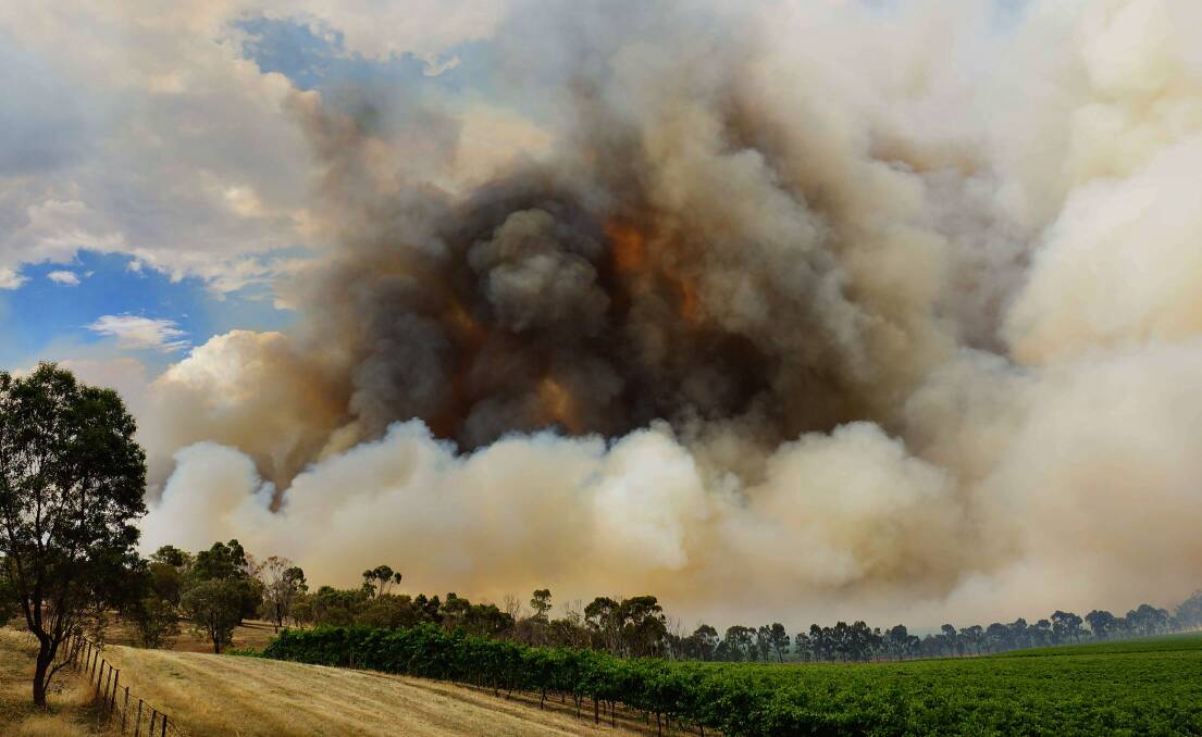 SMOKE: A grass fire at Toolleen earlier this month. Picture: LUKE WALLIS
