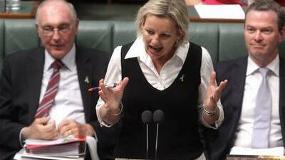 Assistant Education Minister Sussan Ley.