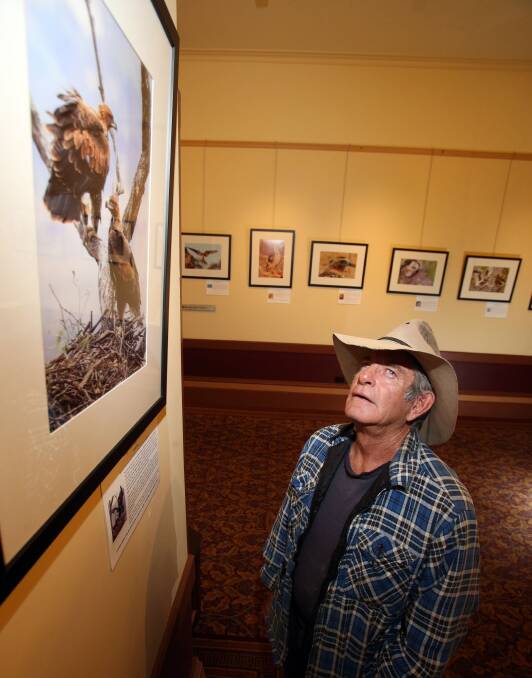 Hunters of the Skies opened on Monday at The Capital. Picture: GLENN DANIELS