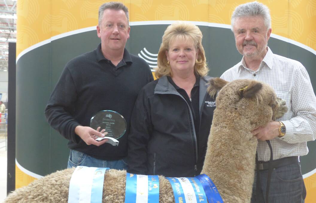 The proud owners of a $66,000 alpaca, a combined arrangement between two Victorian and New Zealand alpaca breeders.