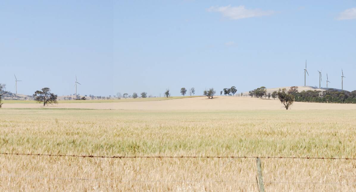 ARTIST'S IMPRESSION: The planned Coonooer Bridge wind farm, which will help to power the Australian Capital Territory.