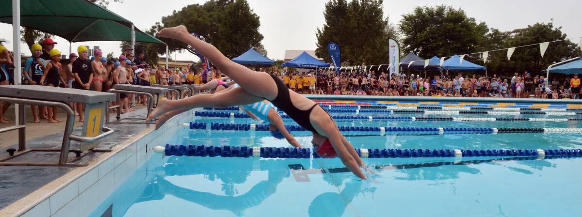 Halena Morgan from St Joseph's dives in at the Bendigo Catholic Primary Schools swimming championships. Picture: BRENDAN McCARTHY