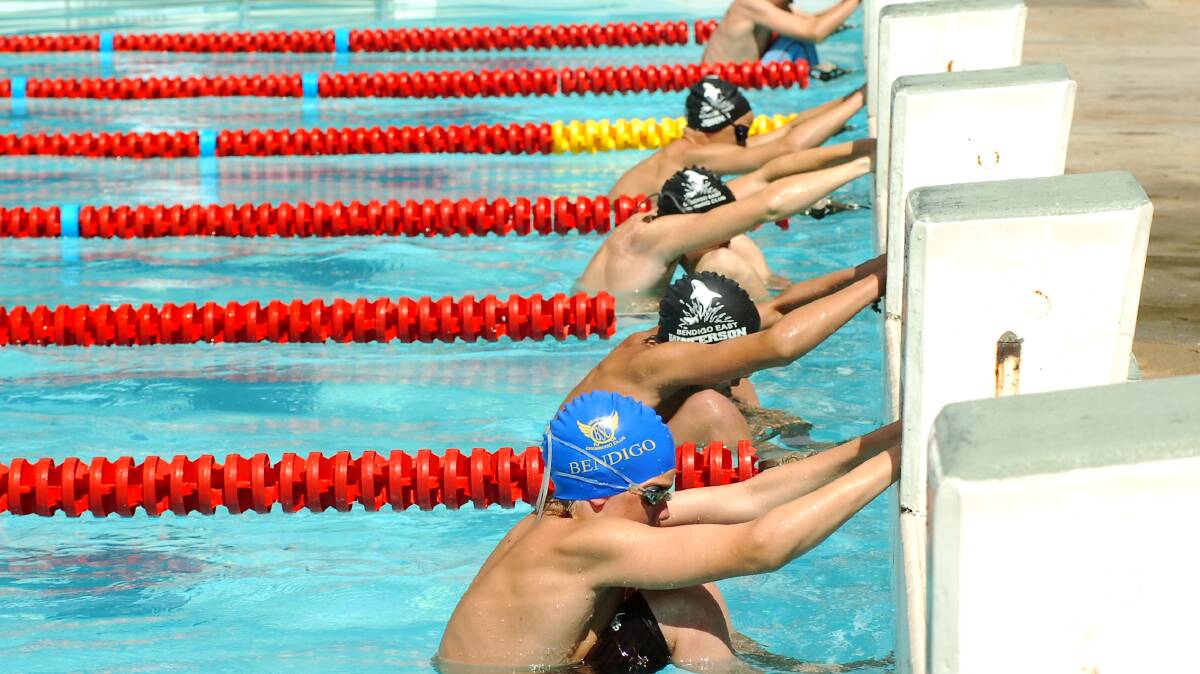 Swimmers await the starter's gun in a backstroke heat at the 2006 district championships at Bendigo East. 