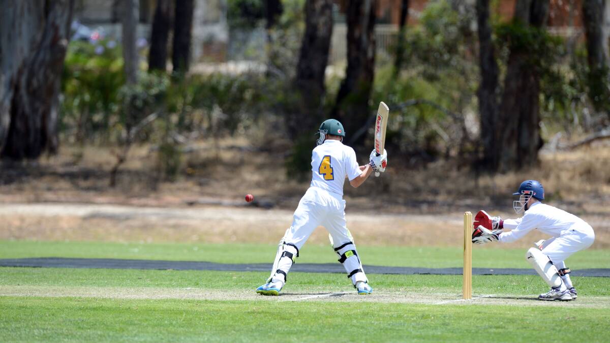 WINDING UP: Julen Sanchez prepares to belt the ball to the boundary in ACT's clash with Queensland at Bell Oval in Strathdale. Picture: LIZ FLEMING