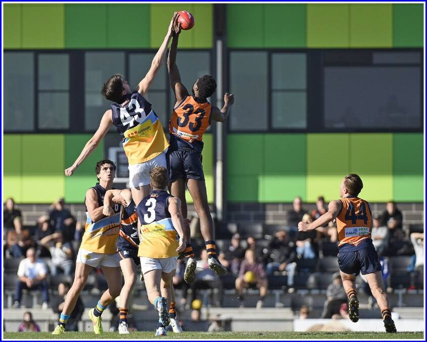 BIG ROLE: Nick Cottrell leaps high to win this centre bounce in the Bendigo Pioneers  match against Calder Cannons at Craigieburn. Picture: Greg Kowalczewski
