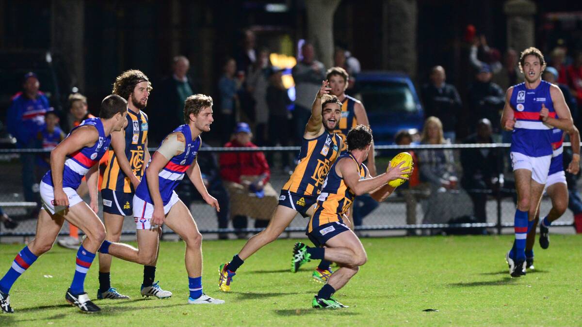Footscray Dogs rip through Gold defence