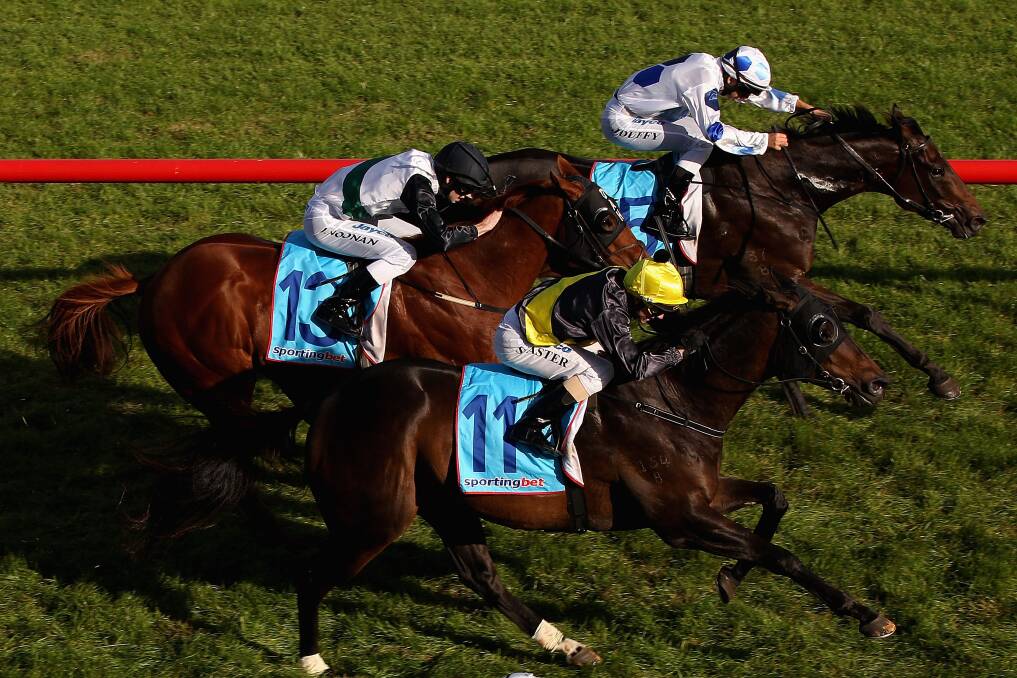 TIGER FIGHTS: Tigerland (No. 11) and jockey Stephen Baster win last year's Thomas Sabo Plate at Caulfield. Picture: GETTY 