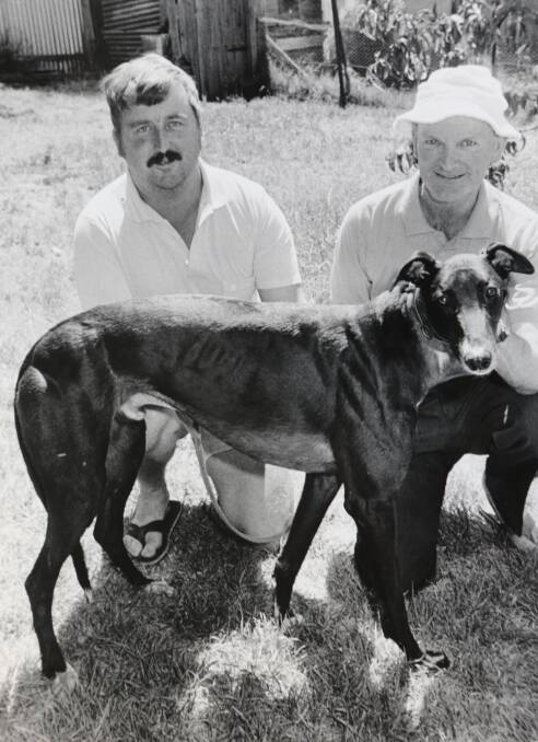 Owners John Anderson and Sta Johannesen with champion greyhound Enfield. 