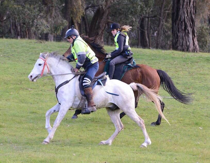 TOUGH: Vincent Comer and Angela Nicholls compete in the 80km endurance ride. Picture: ROB FEATONBY