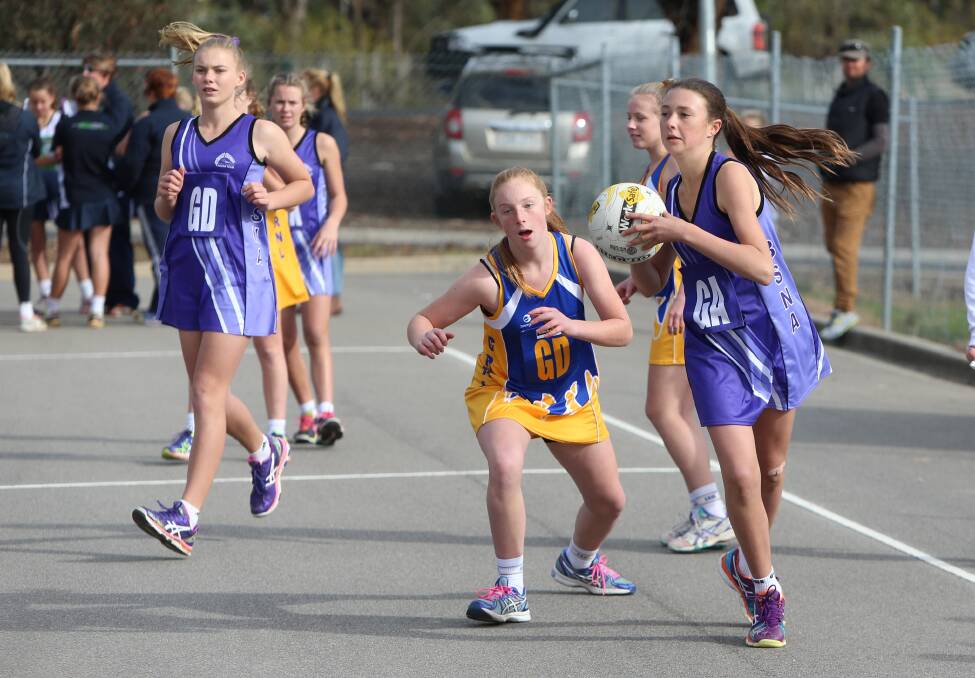Bendigo-Strathdale Netball Association, in purple, takes on the Golden Rivers Netball League in a lead-up tournament to this weekend's Association Championships northern zone qualifier. Picture: PETER WEAVING