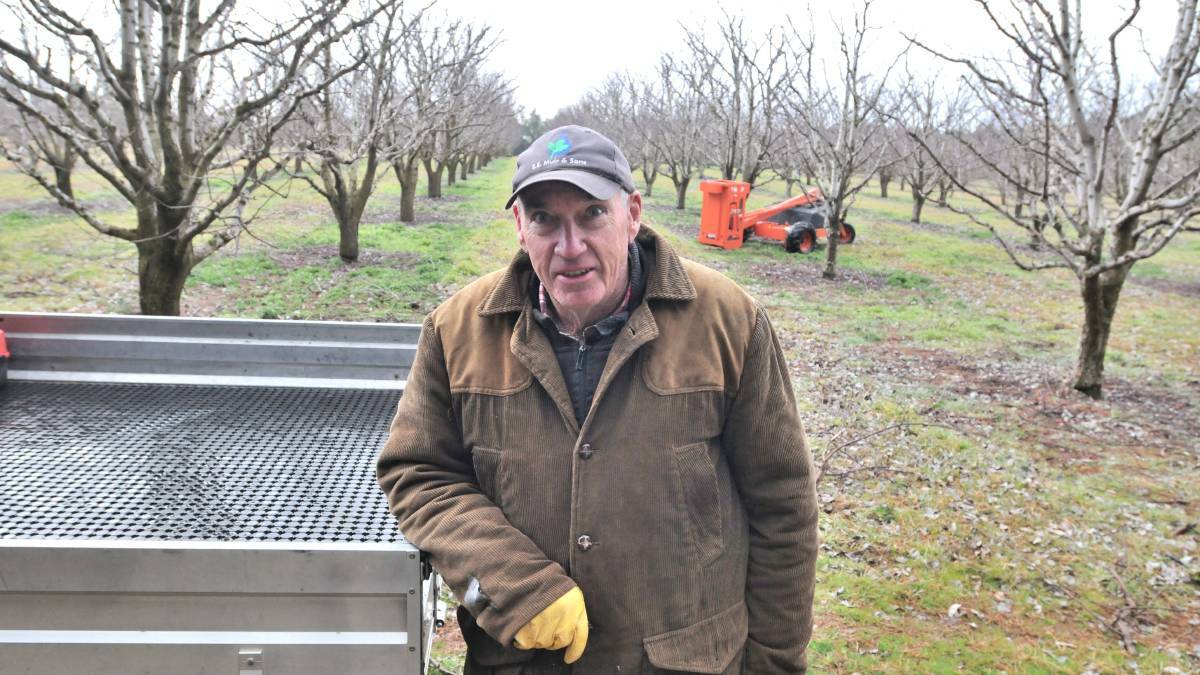 COUNTRY LIFE: Clergate orchardist John Kjoller says he wouldn’t give up his country lifestyle to live in a city. Photo: STEVE GOSCH 