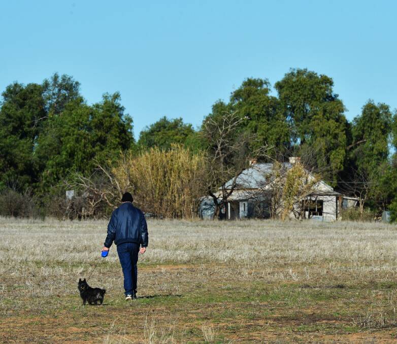 A Man's Dog:  Taking a walk near Bridgewater.
Picture: BRENDAN McCARTHY