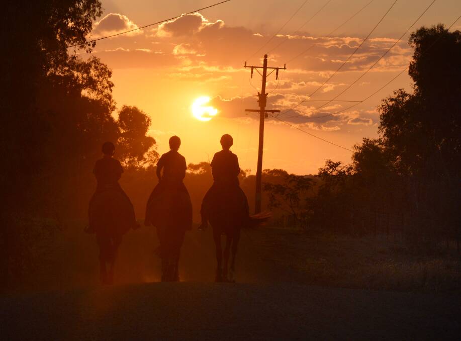 Three retired harness racers now enjoying life at a more leisurely pace in Bendigo.
Picture: BRENDAN McCARTHY